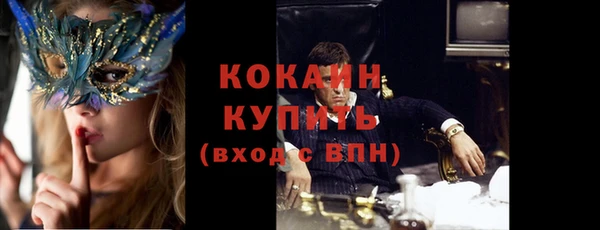 прущая мука Каменка