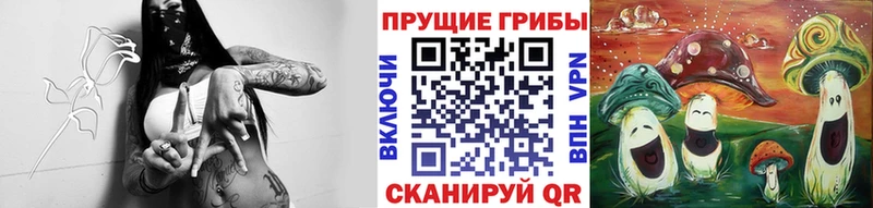 Купить где  Кудрово  Галлюциногенные грибы мицелий 